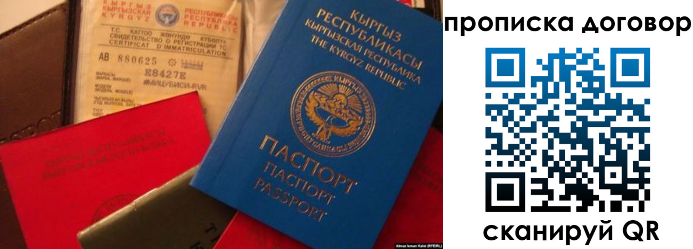 прописка законно в Клинцах